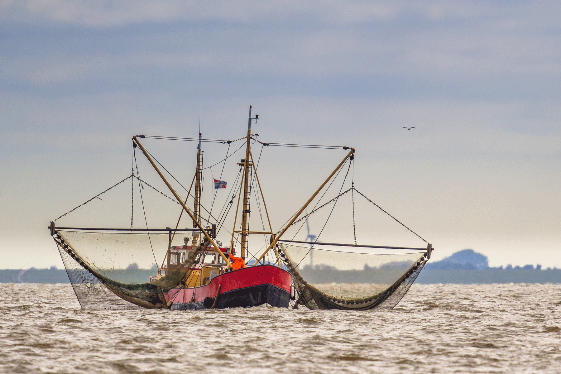 shrimp-fishing-cutter-vessel-on-the-wadden-sea