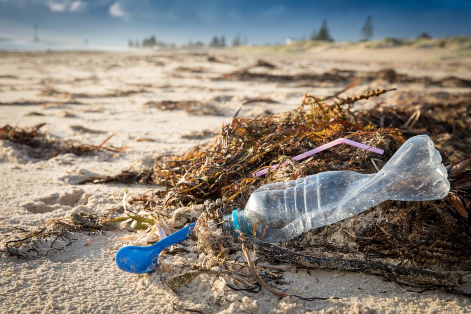 bottle_beach